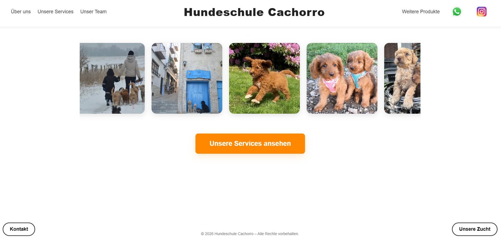 Projektvorschau Hundeschule